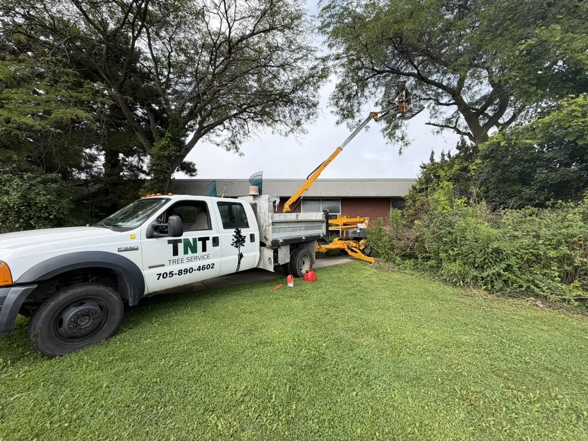 TNT bucket truck set up on a lawn under a large tree